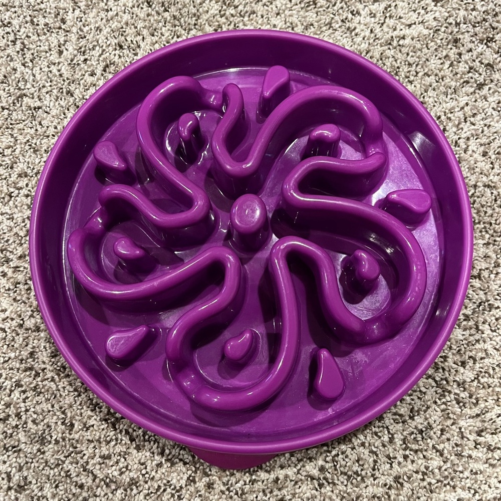 Purple Slow Feeder Dog Bowl
